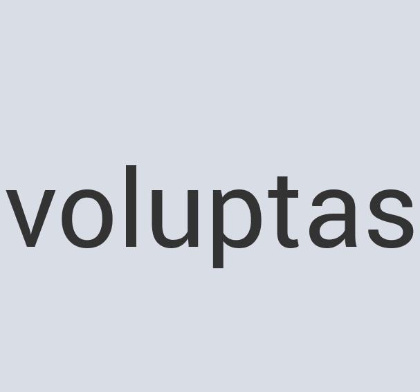 Aerodynamic Bronze Computercate