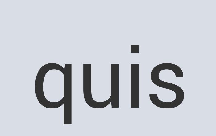 Aerodynamic Wool Typo Generator